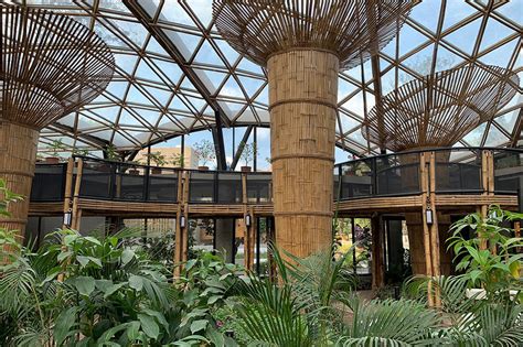 manila zoological and botanical garden|Manila Zoo set to fully reopen .